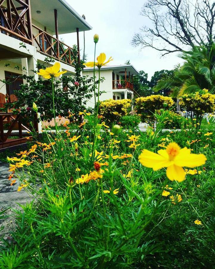ريفاس Hotel Finca Playa Venecia المظهر الخارجي الصورة